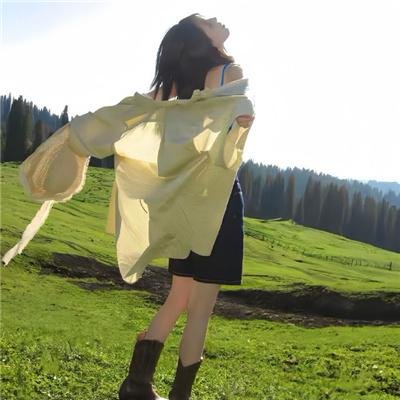 追梦小海豚